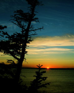 San Juan Island 4 Day Kayak Tour @ San Juan Islands | Washington | United States