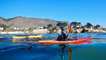 A Paddle in Shell Beach